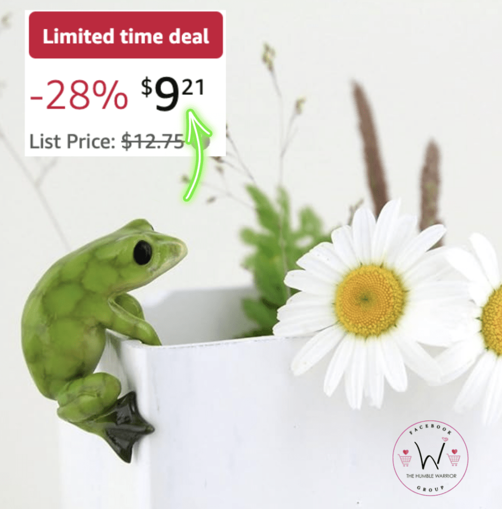 The Frog Flower Pot Hugger!